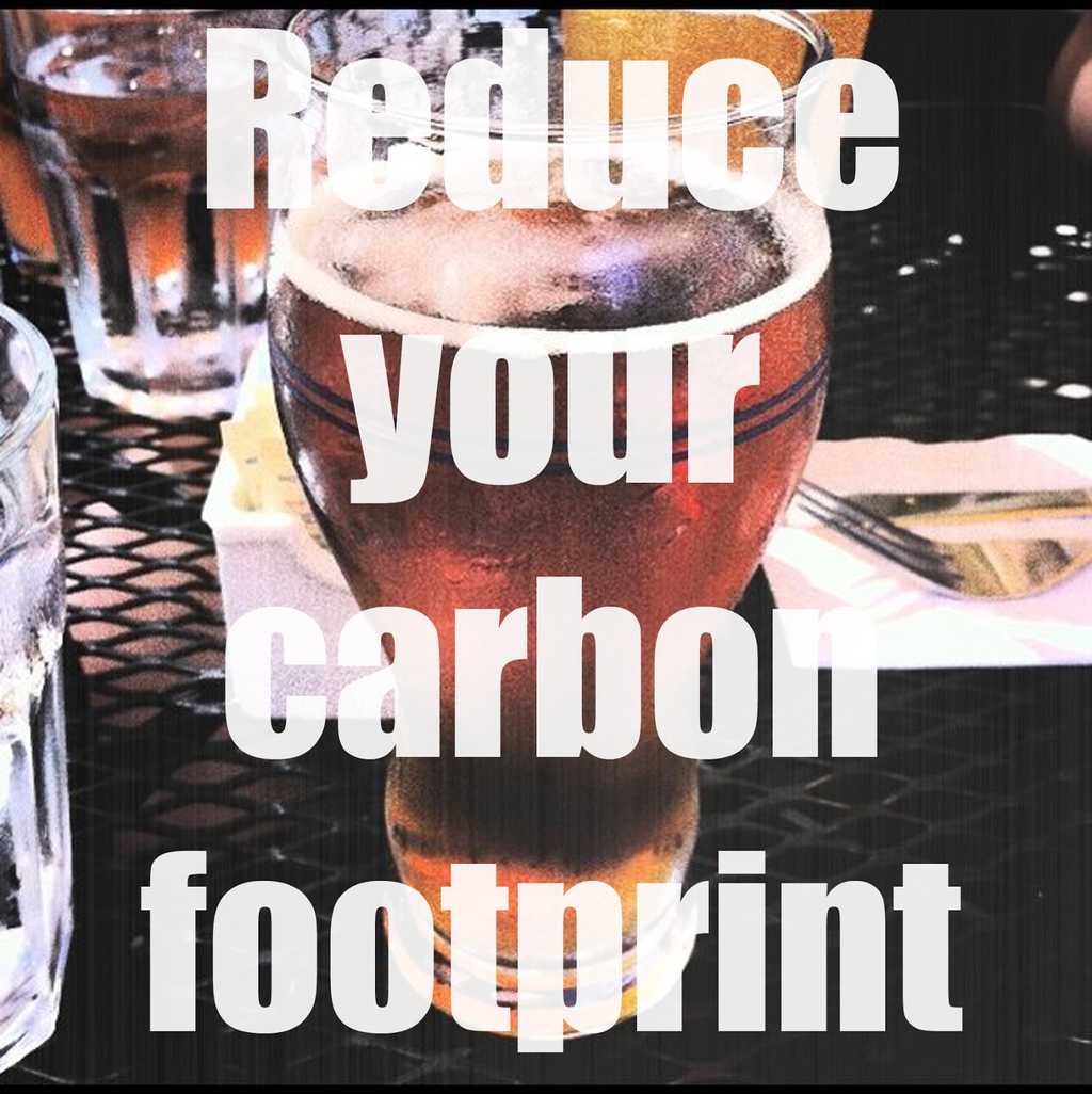 004 Reduce your carbon footprint 